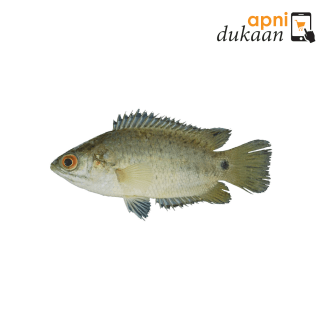 Bangladeshi Koi Fish - 500g