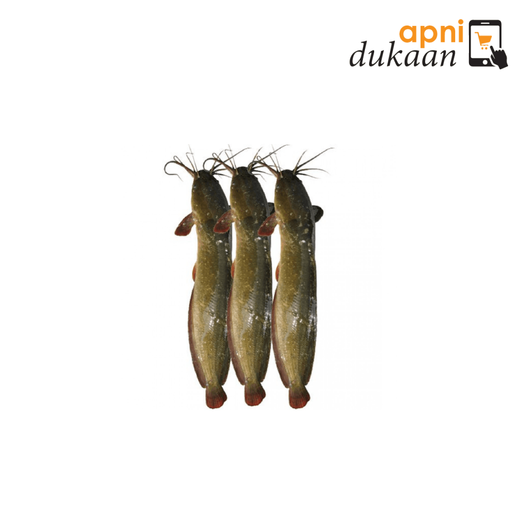 Bangladeshi Magur Fish – 500g – Apni Dukaan