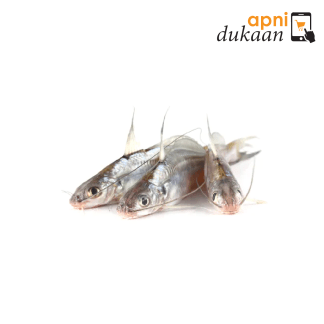 Bangladeshi Tangra Fish - 500g