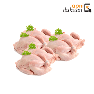 Hand Slaughtered Quail (batair) 6 pack
